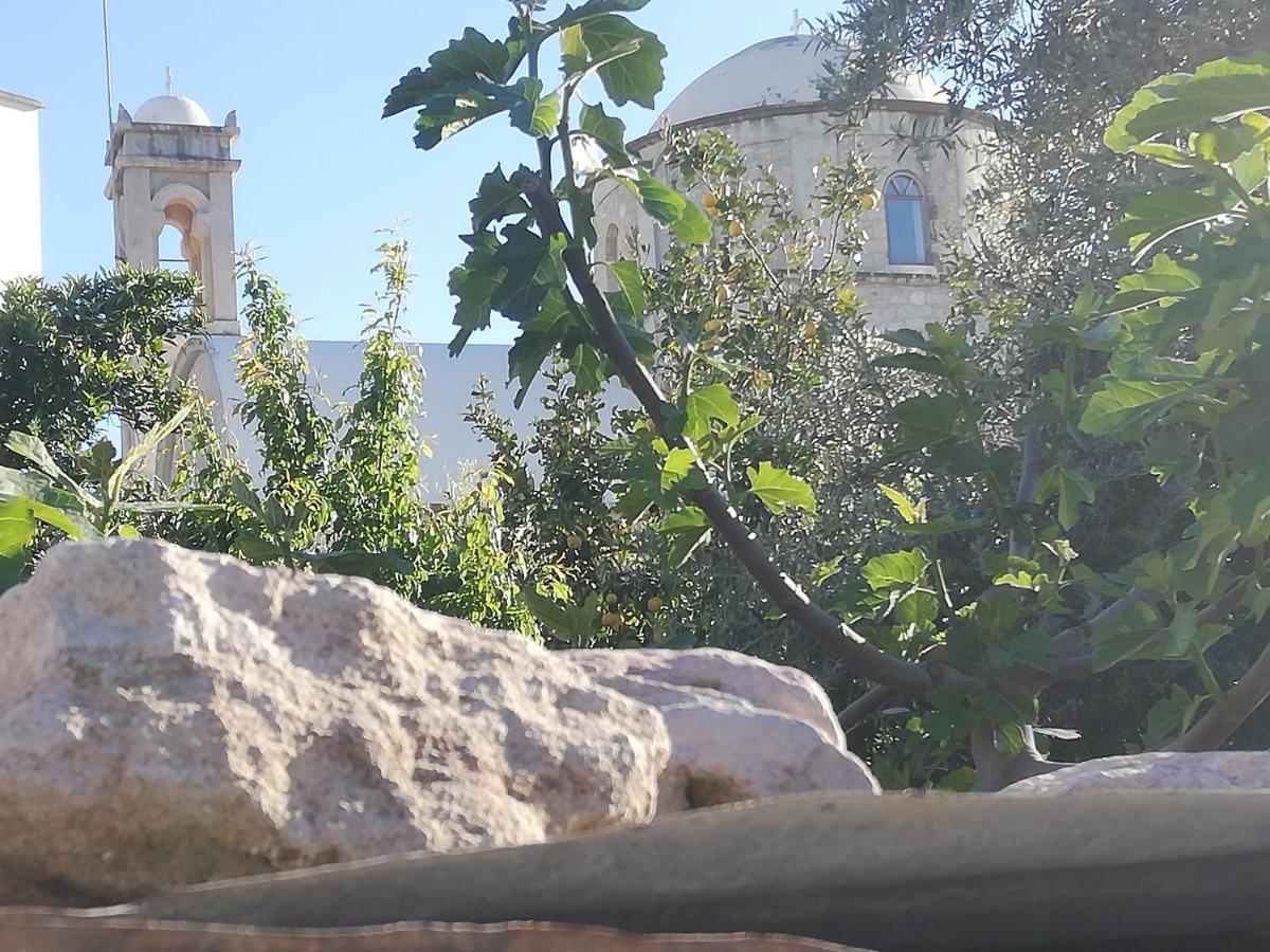 Pensjonat Kaizer Agrotourism Amargeti Zewnętrze zdjęcie