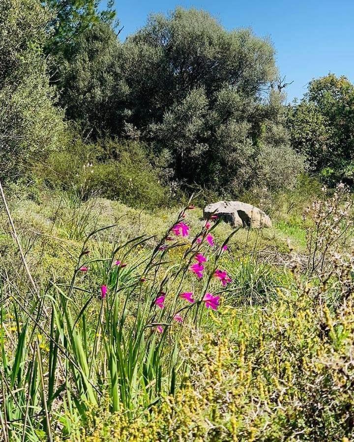 Pensjonat Kaizer Agrotourism Amargeti Zewnętrze zdjęcie