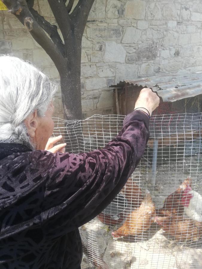 Pensjonat Kaizer Agrotourism Amargeti Zewnętrze zdjęcie