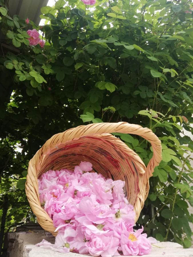 Pensjonat Kaizer Agrotourism Amargeti Zewnętrze zdjęcie